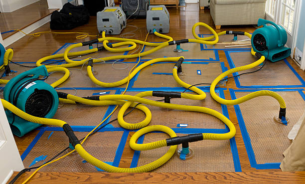 Professional Crawl Space Water Removal technician working in Wilton, CT